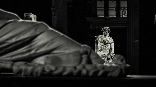 Guide pratique pour sélectionner une assurance animaux en 2025