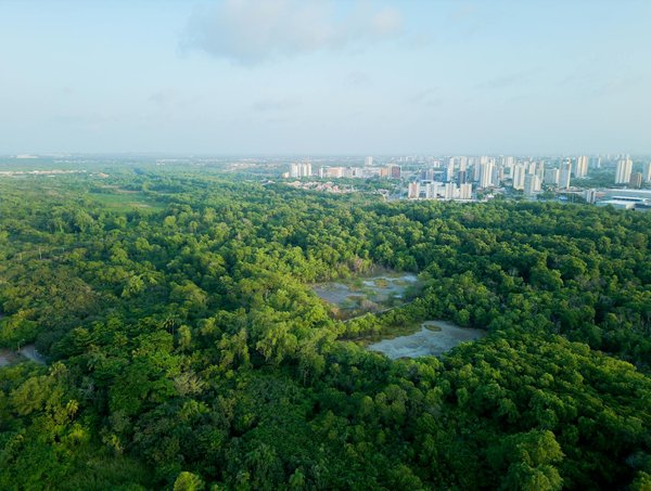Devenir bénévole : transformez des vies avec une ong humanitaire